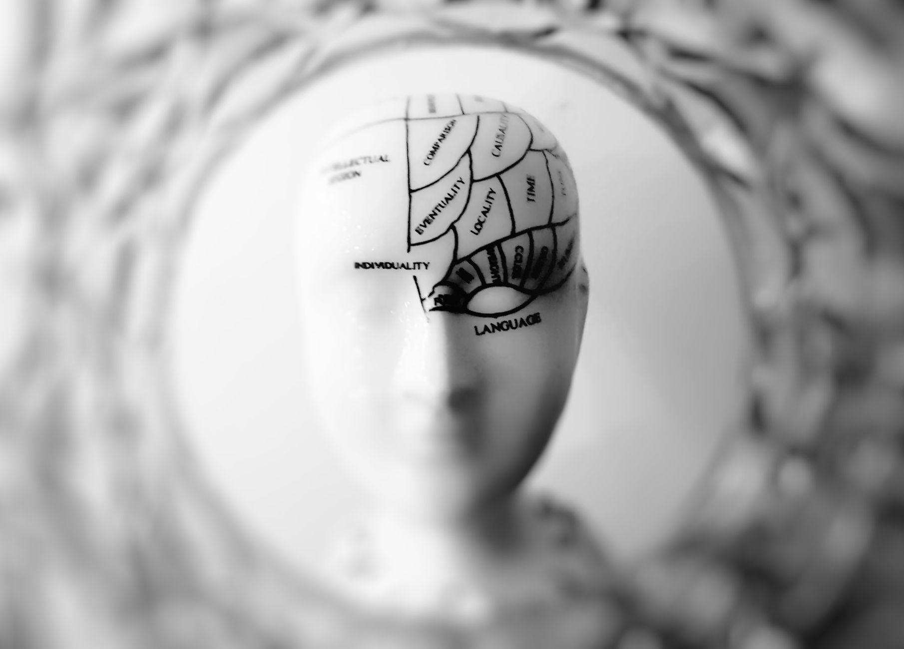 Hidden Instructions Human Brain: Proven Insights for Understanding